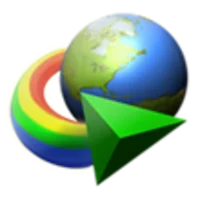 Internet Download Manager (IDM)