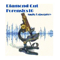 Diamond Cut Forensics10 Audio Laboratory