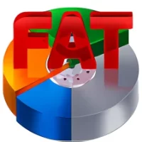 RS FAT Recovery