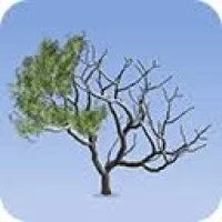 Pixarra TwistedBrush Tree Studio